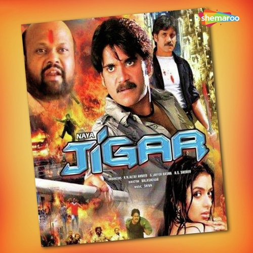 Jaane Kaha Dil Kho - Shiva