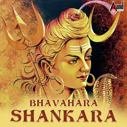 Shiva Shiva Shankara - Various Artists