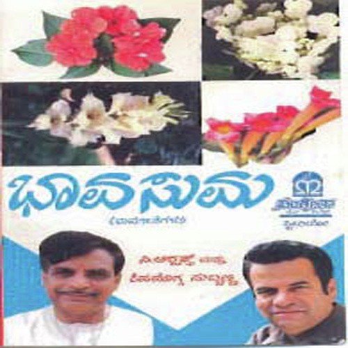 Baagilolu - Various Artists