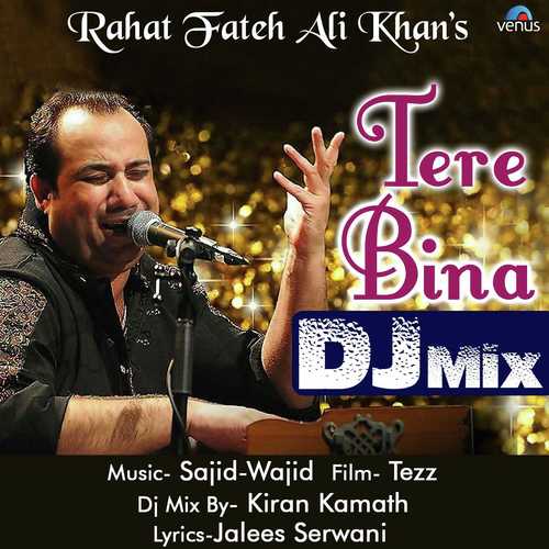 Tere Bina Dj Mix - Janki Maheshwar