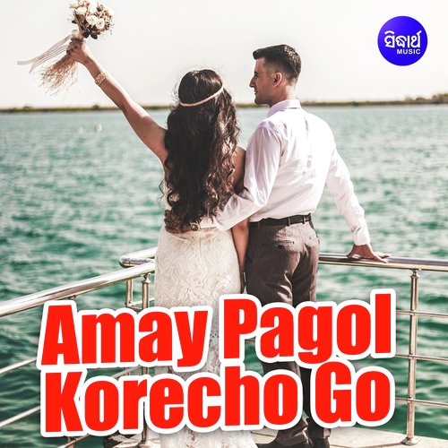 Amay Pagol Korecho Go - Suday Sarkar, Sanchita Bhattacharya