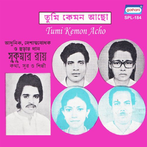 Chotto Ami Putul Meye - Sukumar Ray