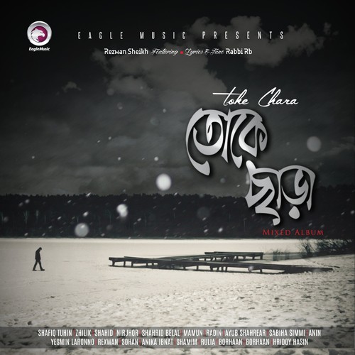 Amar Manena Mon - Various Artists