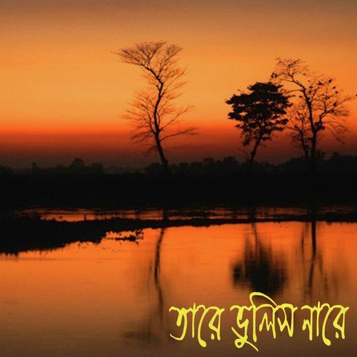 O Tor Bhitor Bahir - Various Artists