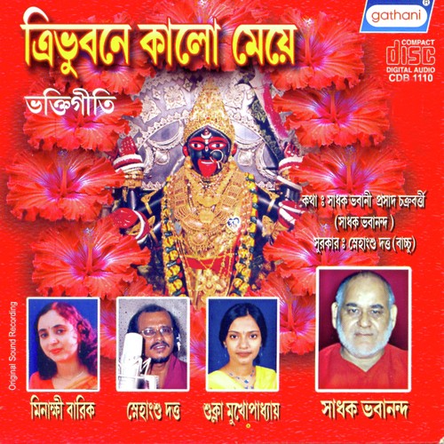 Jakhan Garbhe Chilam - Snehangsu Dutta