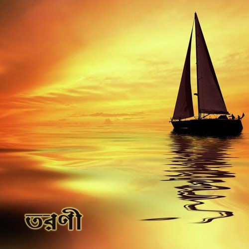 Chhaya Ghanaichhe Bone Bone - Various Artists