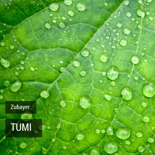 Tumi - Zubayer