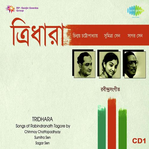 Biday Jakhan Chaibe Tumi - Chinmoy Chatterjee