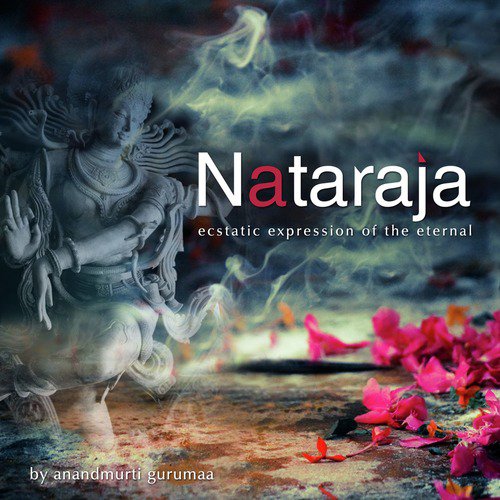 Shiva Shiva - Anandmurti Gurumaa