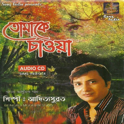 Hoyto Samay Thame - Amitabh Samajpati