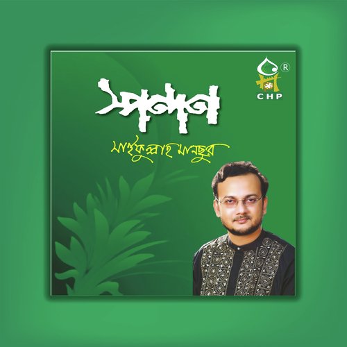Taragulo Aj - Saifullah Mansur