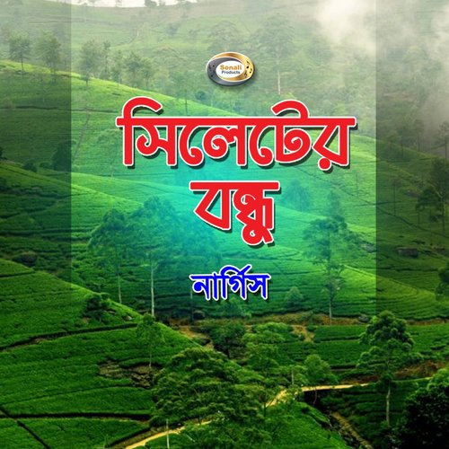 Bidesh Giya Bhalo Theko - Nargis