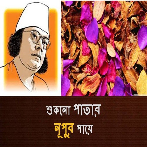 Mor Pria Hobe Eso Rani - Various Artists