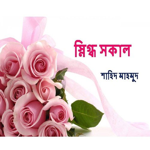 Sinikdho Sakal - Shahid Mahmud