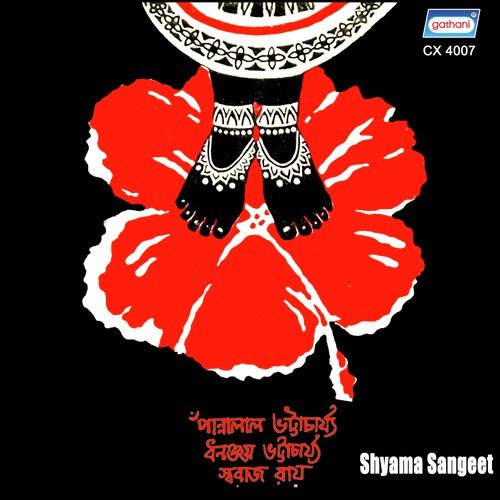 Amaspandito Ghano Ratri - Swaraj Ray, Pannalal Bhattacharya, Dhananjay Bhattacharya