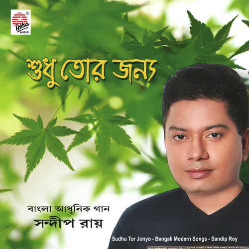 Ki Je Ki Holo - Sandip Kumar Roy