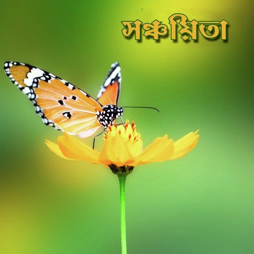 Barshar Dine - Various Artists