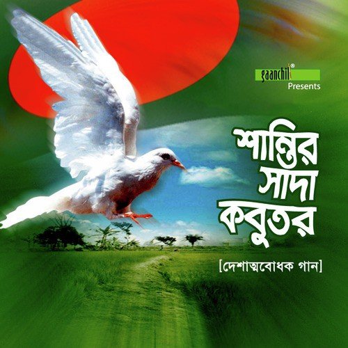 Ami Bangladesher Meye - 