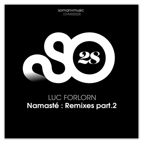 Namast (Rm Rm Remix By Ricochet) - Luc Forlorn