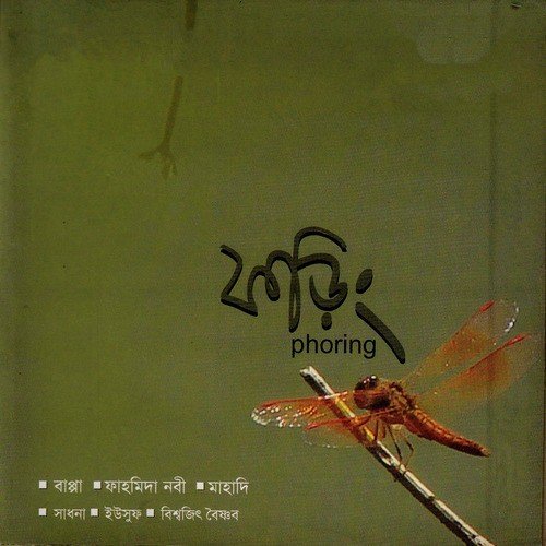 Amar Abar Pochondo - Various Artists