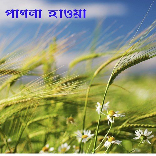 Sono Sujon - Various Artists