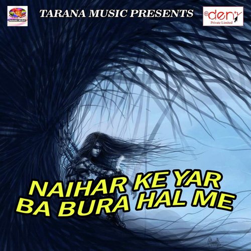 Raja Ji Basela Gujarat Me - Various Artists