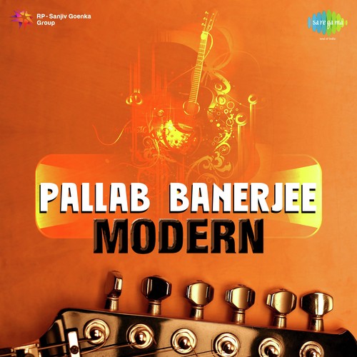Bodle Galo Din - Pallab Banerjee