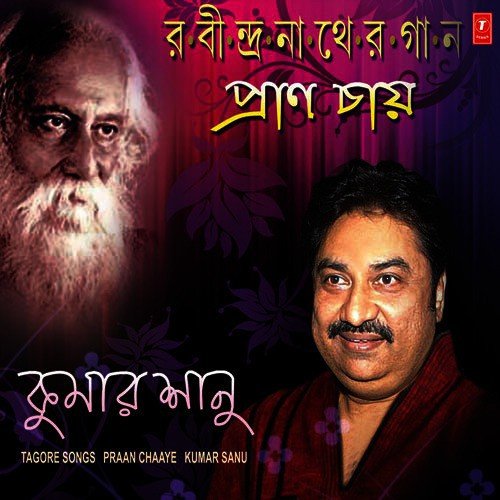 Amie Chini Go Chini - Kumar Sanu