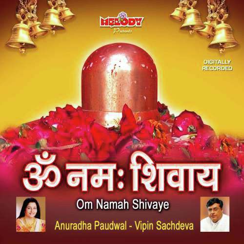 Damroo Waale - Various Artists