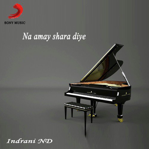 Na Amay Shara Diye - Indrani ND