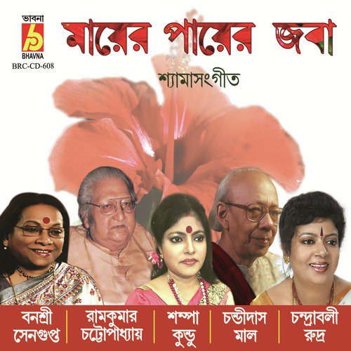 Mayer Payer Joba - Various Artists