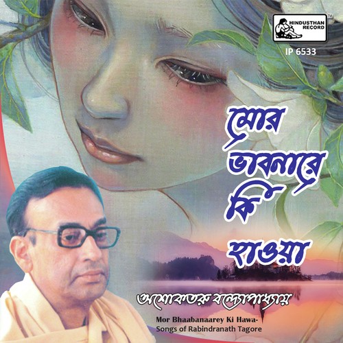 Megher Parey Megh - Ashoketaru Banerjee