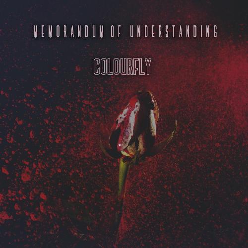 Memorandum Of Understanding - Colourfly - Mou Sultana