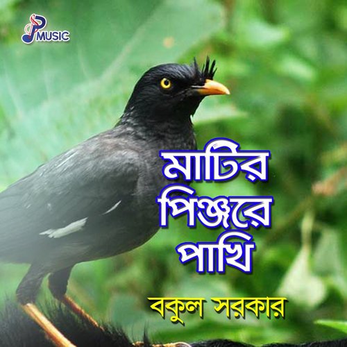 Ami Bine Keba Tumi - Bakul Sarkar