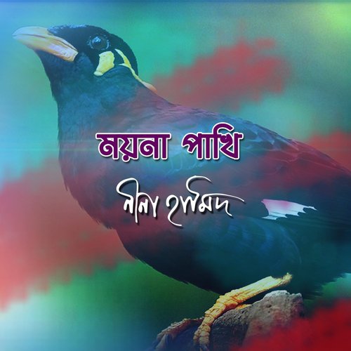 Dukkho Kadile Na Jay - Nina Hamid