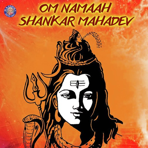Purusha Suktam (Shiva) - Various Artists