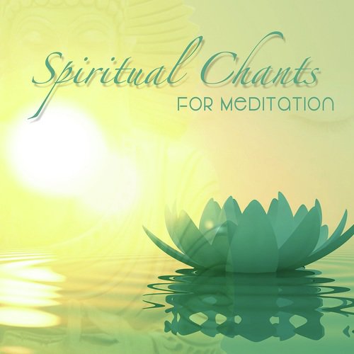 Om Namah Shivay Chanting - Narayan Prasad Das, Manoj Mishra