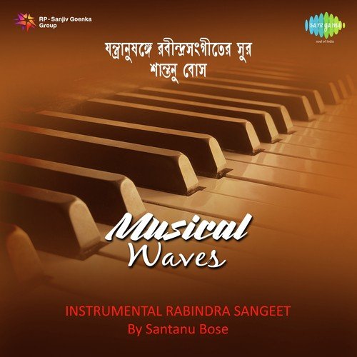 Tumi Dak Diyechho Kon Sakale   Instrumental - Santanu Basu