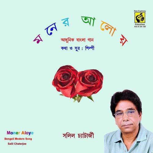 Rina Go Rina - Salil Chatterjee