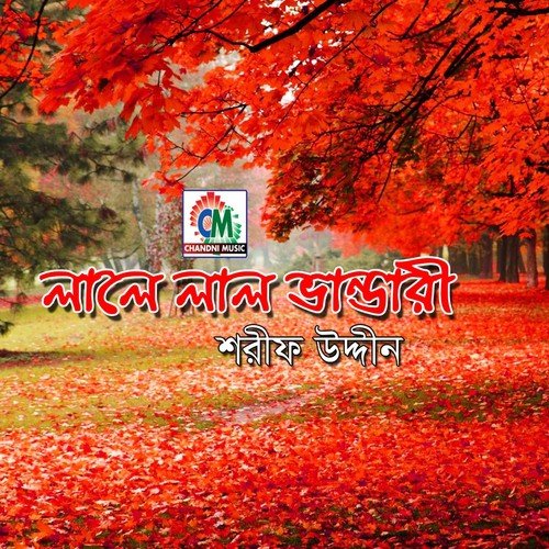 Doyal Baba Maiz Bhandari - Shorif Uddin