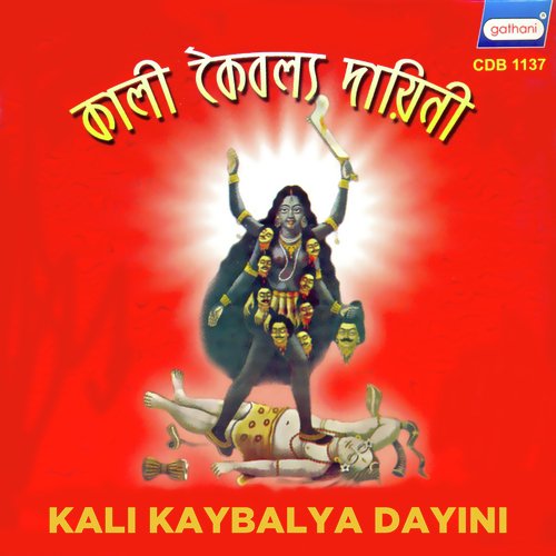 Brithai Mon Tor - Snehangsu Dutta