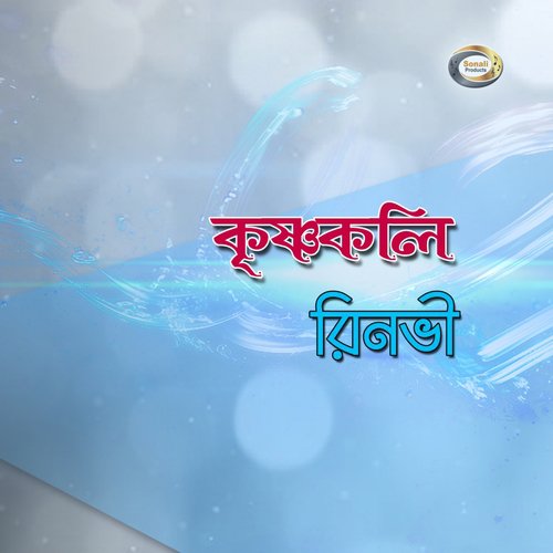 Je Din Ami Chole Jabo - Rinbhi