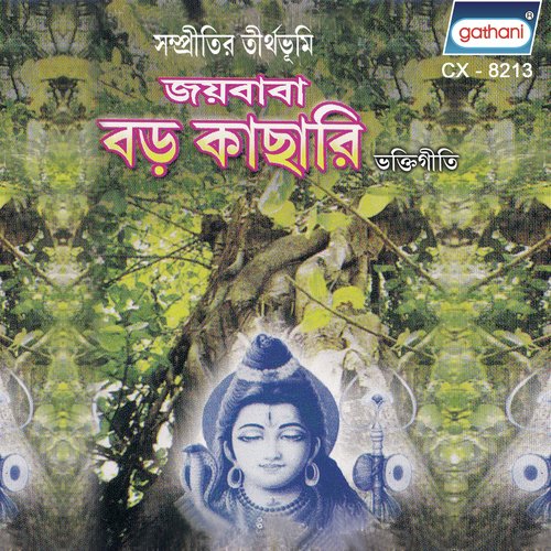 Brahma Nam Niye - Pranab Das