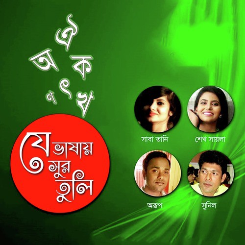 Hawr Baor Nodi Nala - Various Artists