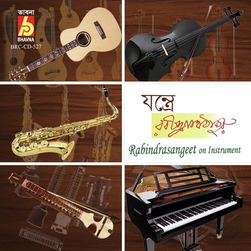 Sarthok Janmo Amar Janmechi Ei Deshe - Various Artists