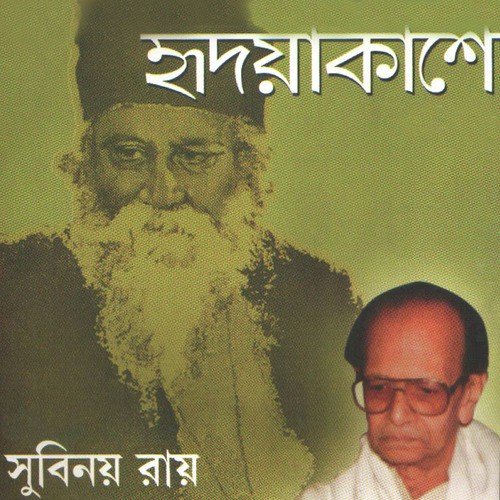 Borshonomondrto Ondhokaare - Subinay Roy