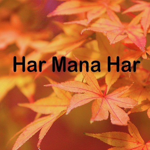 Mon Bole Kon Kotha - Madhumani