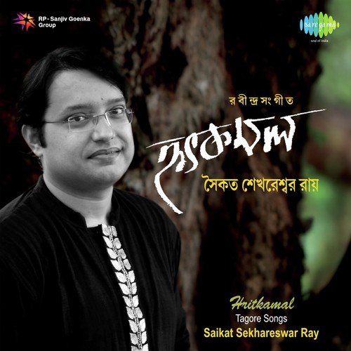 Tumi Rabe Nirabe - Saikat Sekhareswar Ray