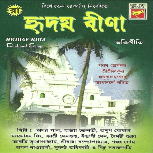 Aamar Hriday Beena Tumi Bina - Various Artists