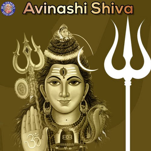 Shankar Aarti   Lavthavti Vikrala - Various Artists